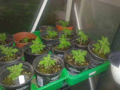 2013-05-20 20.57.16.jpg