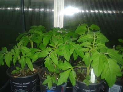 2013-05-20 20.56.31.jpg