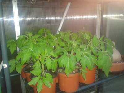 2013-05-20 20.56.05.jpg