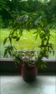 2013-05-22_11-33-07.jpg
