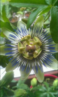 2013-05-22_11-32-59.jpg