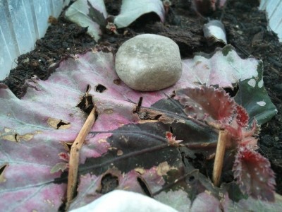 2013-05-22 14.52.49.jpg