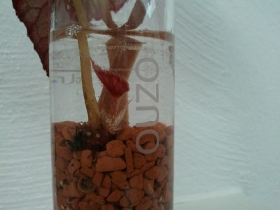 2013-05-20 3 22.17.50.jpg