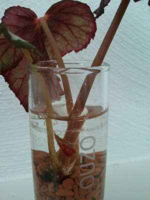 2013-05-20 2 22.18.05.jpg