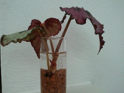 2013-05-20 1 22.17.04.jpg