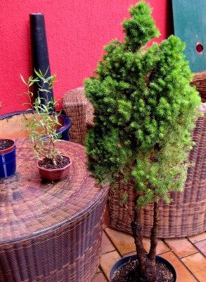 2013-1623.jpg