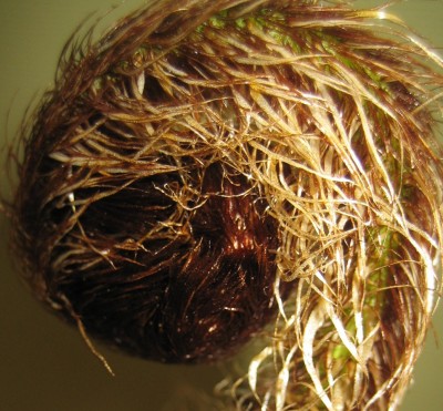 20100227_0001_7.JPG