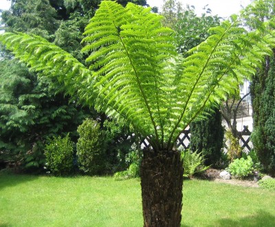 20090713_0001_3.JPG