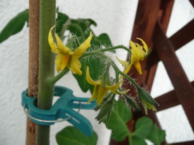 P1100231.JPG
