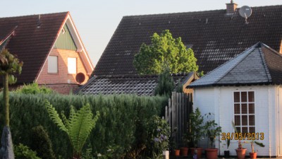 IMG_2312.jpg