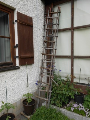 t_rankgitter_883.jpg