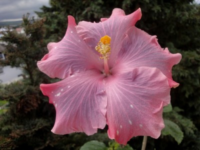 DSC06166 Jason B 1000px.jpg