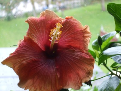 Hearbrekak hotel.JPG