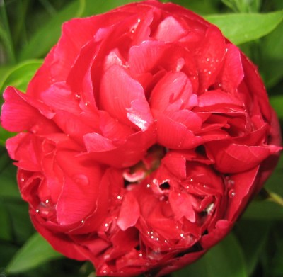 2013 165.jpg