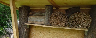 Bienenhaus2013.jpg