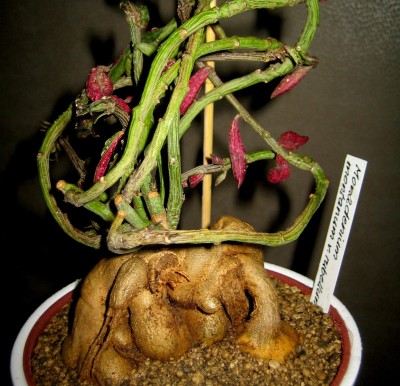 2013-002.jpg