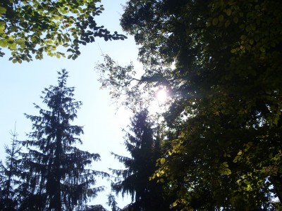 mööp 022.jpg