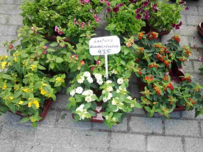 2013-05-27 17.07.36.jpg