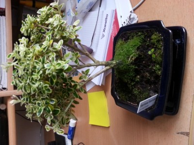 20130529_131448.jpg