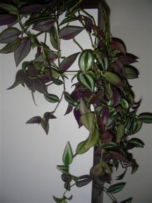 DSCN1584.JPG