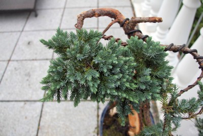 IMG_8363.JPG
