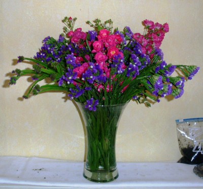PICT0351.JPG
