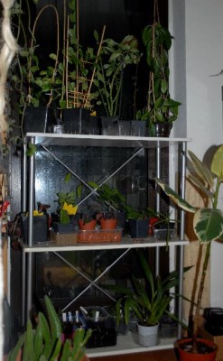 Home 092yy.jpg