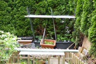 Tomatendach30789.JPG