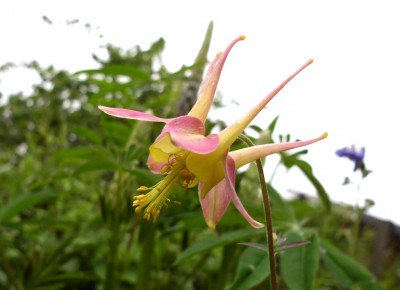 DSCI0370.JPG