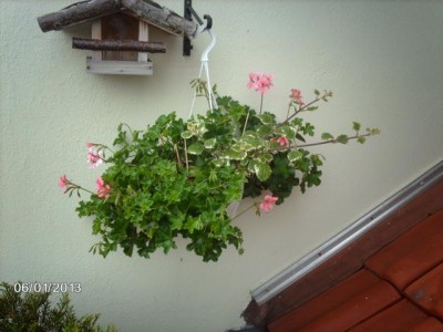K640_IMAG3289.JPG