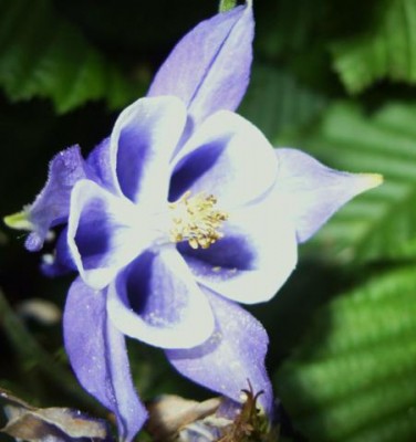 Photo3.jpg