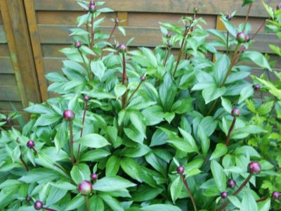 Photo8.jpg