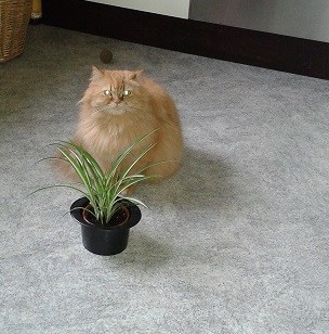 20130526_101249.jpg