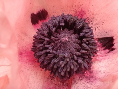 DSC00761 (Kopie).JPG