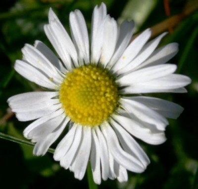 PICT0424.JPG