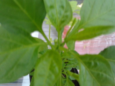 2013-06-03 19.51.28.jpg