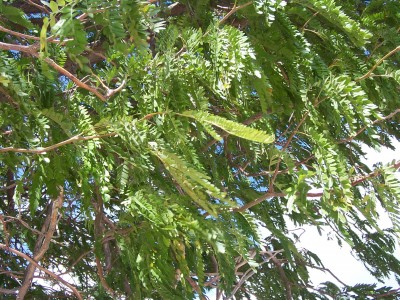 100_4625.jpg