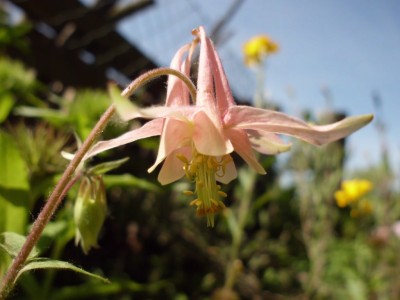 DSCI0406.JPG