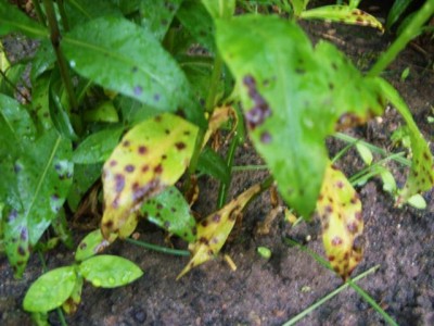 Photo3.jpg