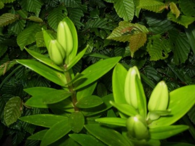 Photo1.jpg