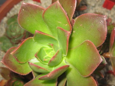 2013 224.jpg