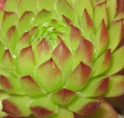 2013 222.jpg