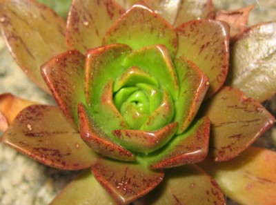 2013 220.jpg