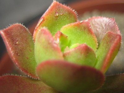 2013 225.jpg