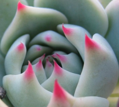 2013 226.jpg