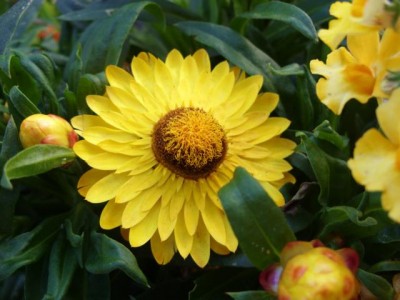 Photo5.jpg