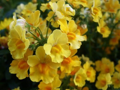 Photo4.jpg