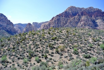 Red_Rock_Canyon_04.jpg