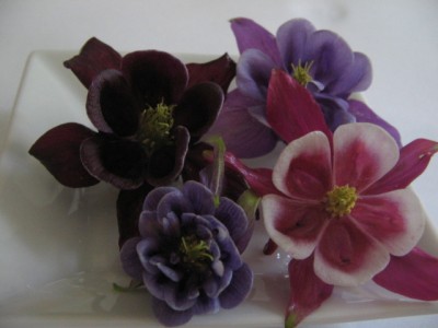 Juni 01 2013 057.JPG