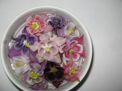 Juni 01 2013 054.JPG